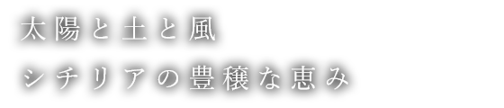 太陽と土と風