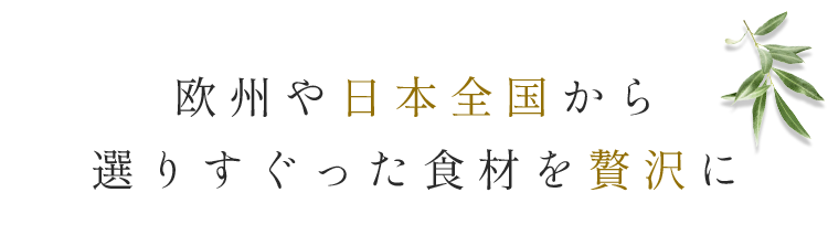 欧州や日本全国から