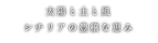 太陽と土と風